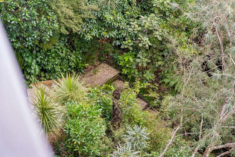 31 Lone Kauri Road Karekare_15