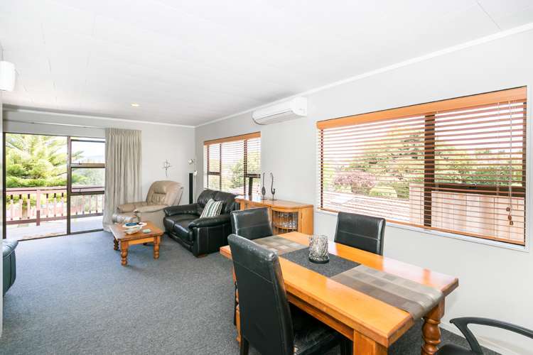 746 Picquet Hill Road Te Awamutu_9