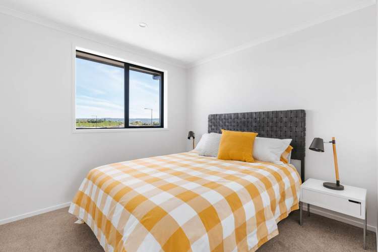 5 Te Ara Tanekaha Omokoroa_14