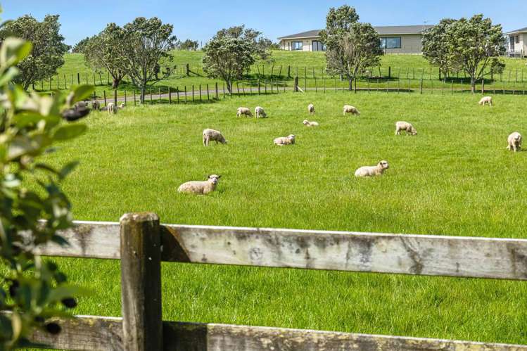 173B Fletcher Road Waimauku_24