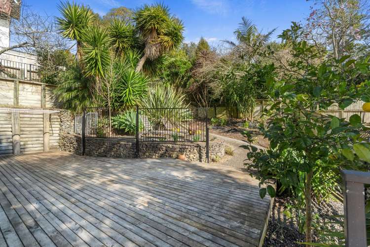 32 Carew Street Nawton_15