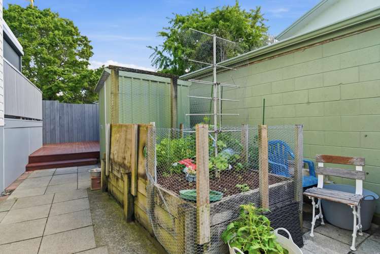 4B Tui Street Te Puke_21