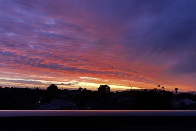 8a Esme Place Matua_31