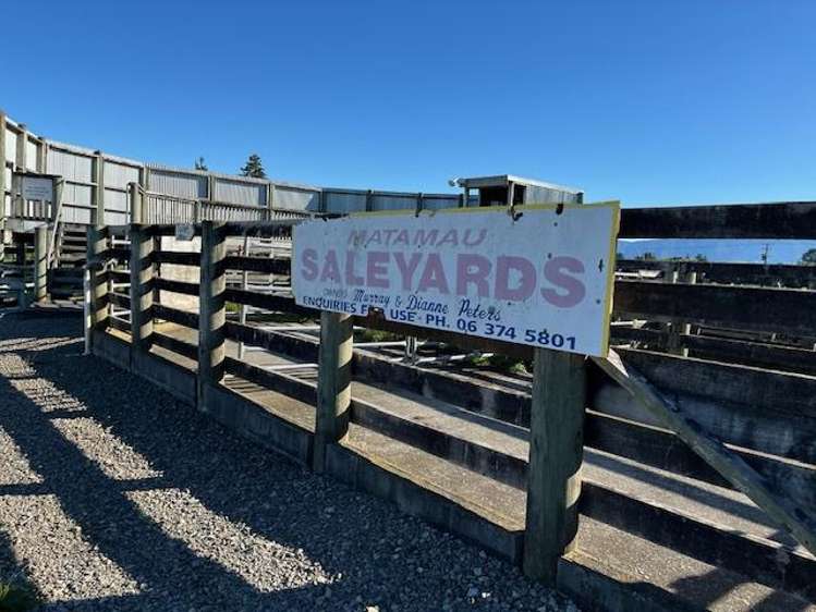 34 School Road Dannevirke_6