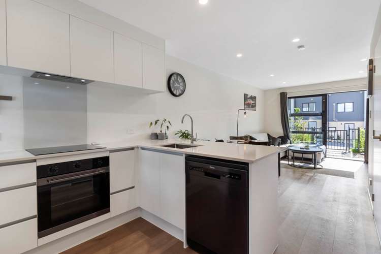 8 Jabuka Street Glen Eden_19