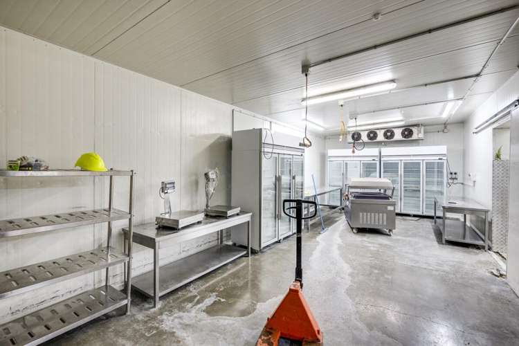 54 Pandora Road Ahuriri_5