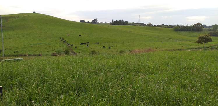 10 Hillpark Drive Pokeno_5