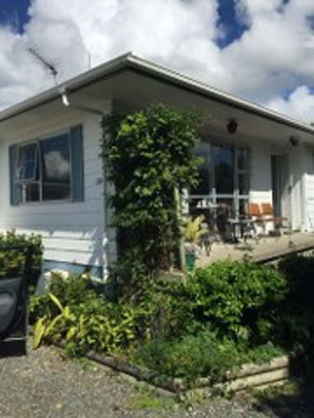 62b Alison Street Hamilton Lake_1