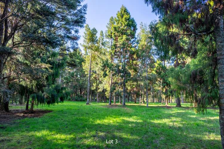 Lot 3-5 Freer Lane Parua Bay_25