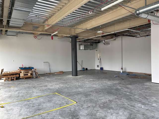 Part Ground Floor, 179 Collingwood Street Hamilton Lake_4