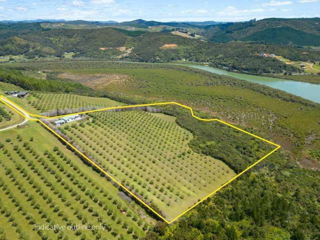 125A Frantoio Ridge Road Mangonui_2