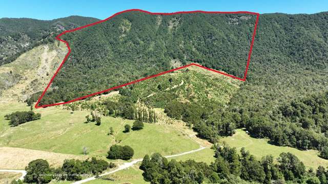 Tutaki Road South Murchison_1