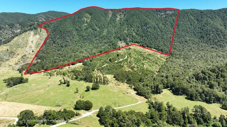 Tutaki Road South Murchison_1