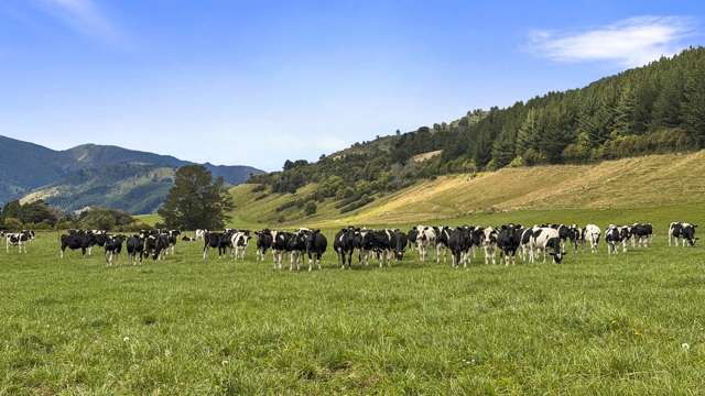 1 Takapari Road Pohangina_3