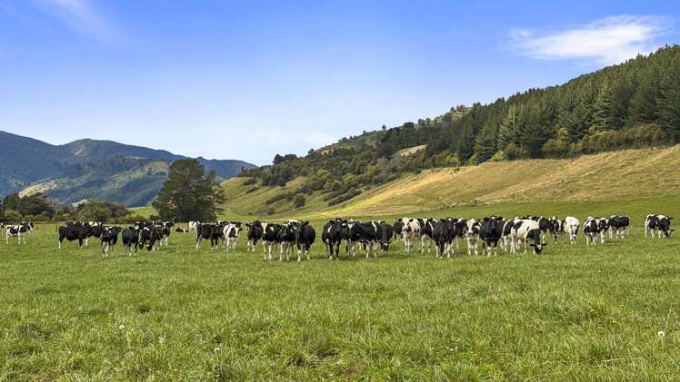 1 Takapari Road Pohangina_3