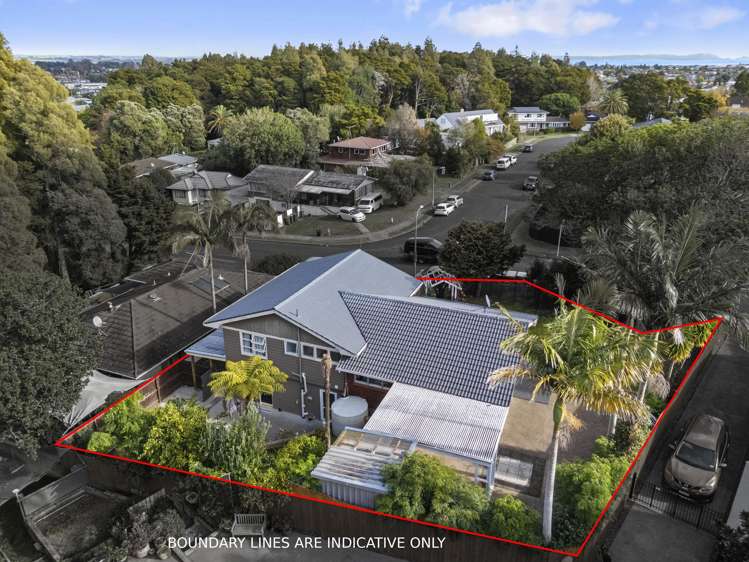 45 Scenic Drive Hillpark_19