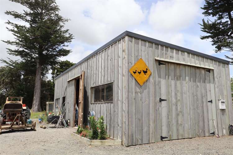 Colville Road Dargaville_6