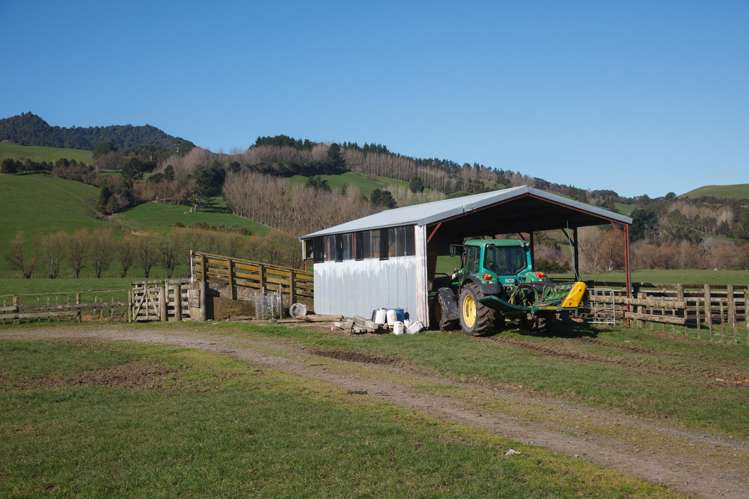 134 Old Te Aroha Road Te Poi_12