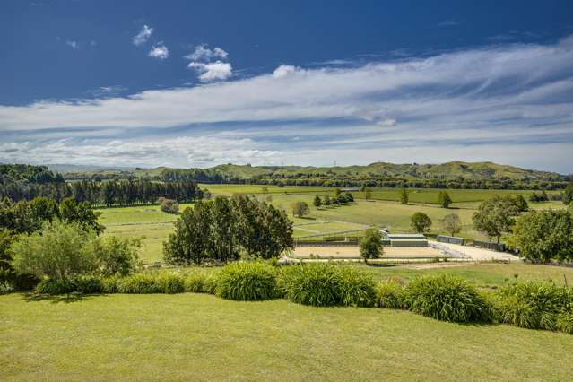 40 Wheatley Road Waiohiki_2