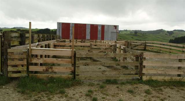 State Highway One Taupo_4