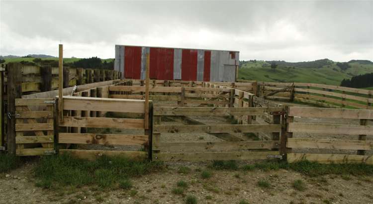 State Highway One Taupo_4