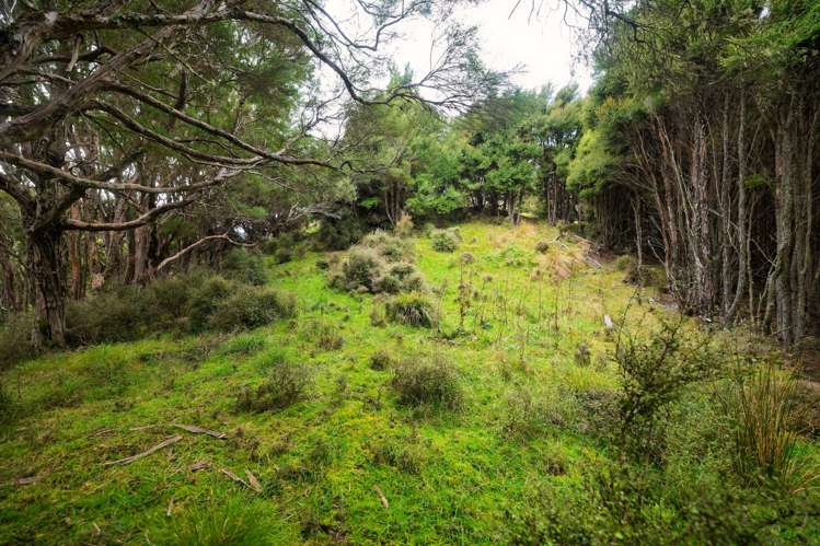Lot 3/DP403510 Puhi Puhi Valley Road Kaikoura_17