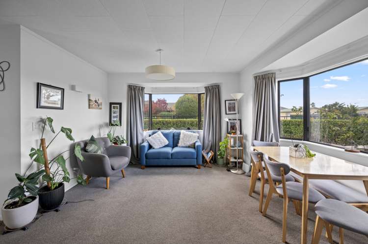 127 Guppy Road Taradale_6