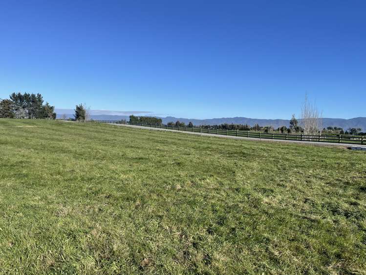 Phelps Way Morisons Bush_12