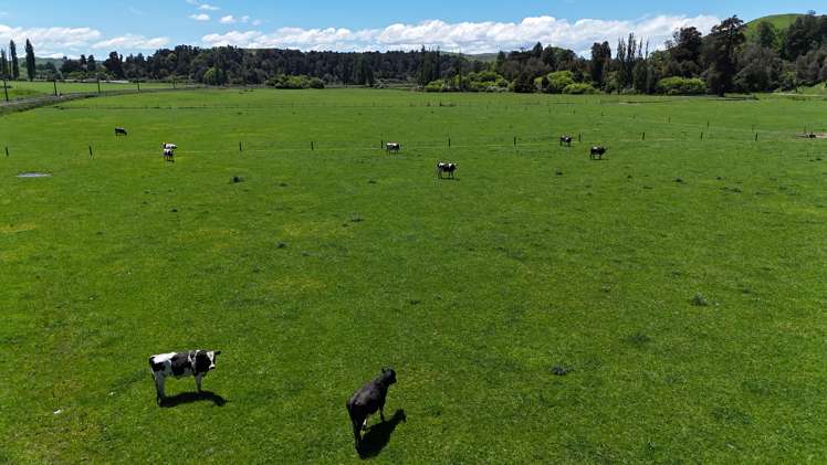 38 Silverhope Road Hunterville_21