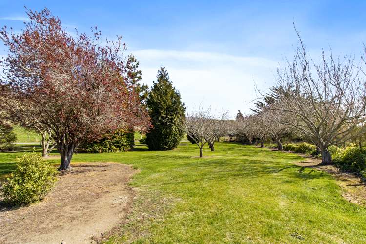 147 Mount Harris Road Waimate_16