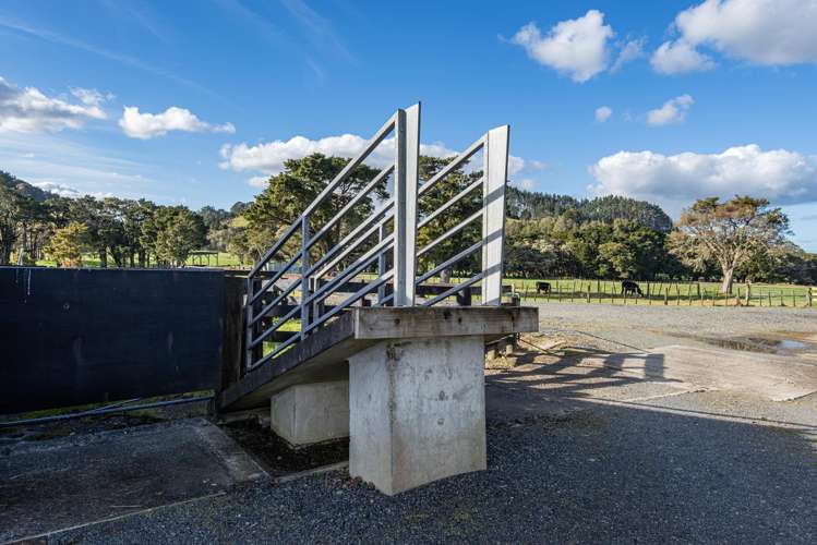 243 Harris Road Glenbervie_23