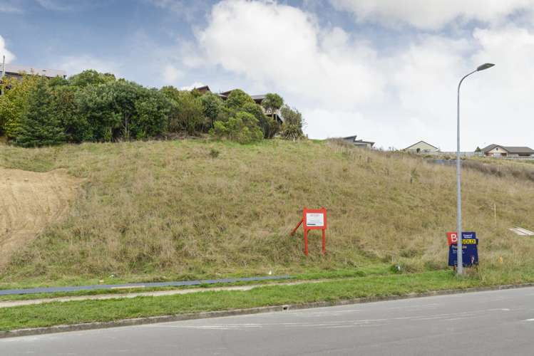 113 Cashmere Drive Fitzherbert_6