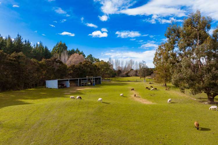 4023 Northbank Road Wairau Valley_20