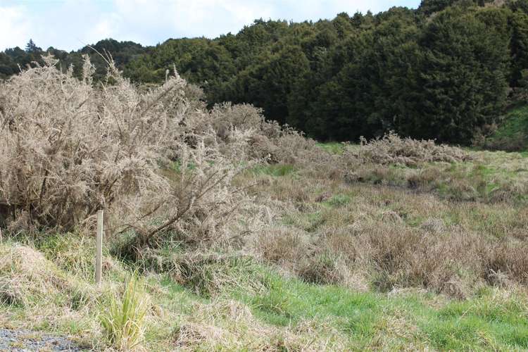 6041 State Highway 12 Ohaeawai_4