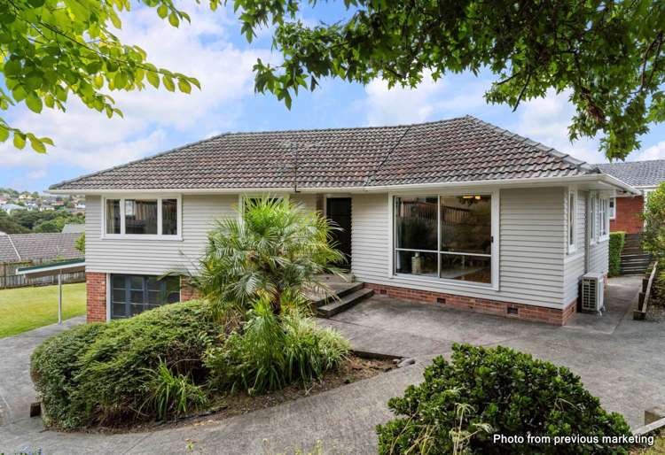 133 Vodanovich Road_0