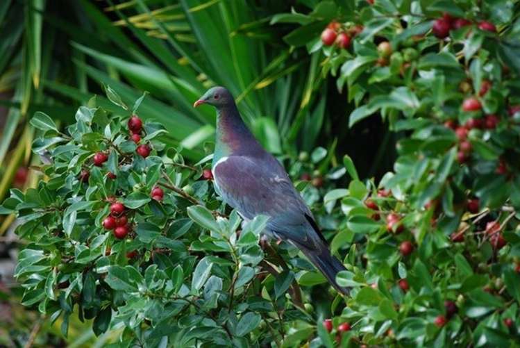 49 Vale Road Riverside_12