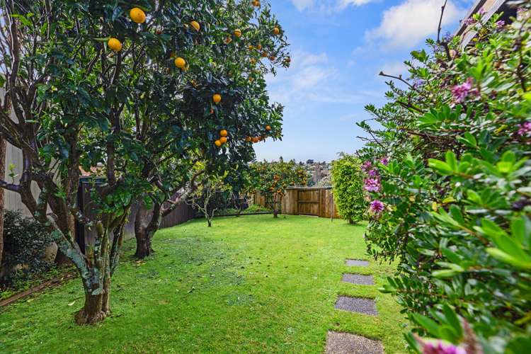 44a Whitaker Street Otumoetai_17