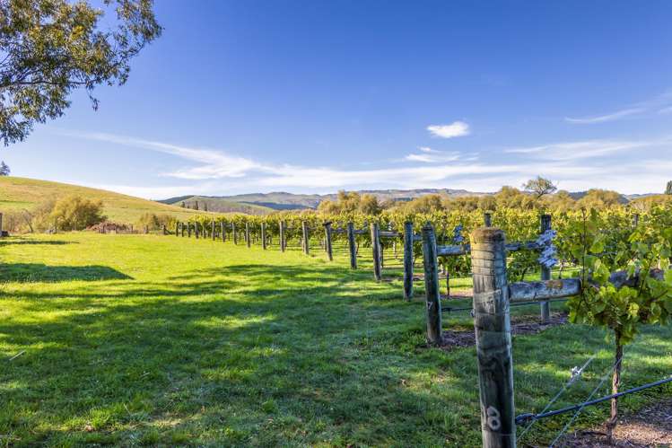 1114 Omihi Road Omihi_31