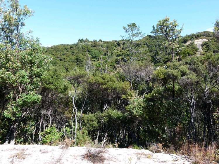 1 Pakiri Way Mangawhai Heads_12