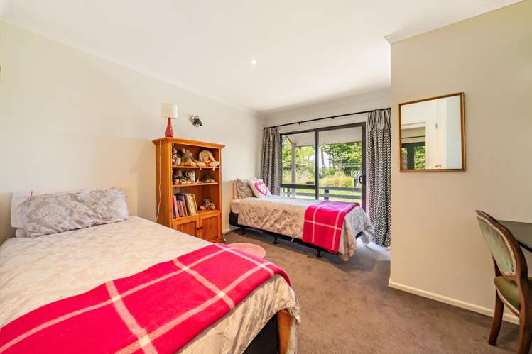 41 Andrew Street Kuripuni_18