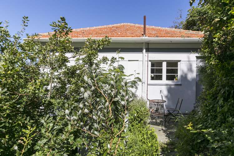 9/71 Garden Road Northland_13