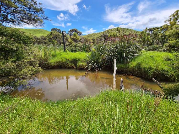 602 Port Charles Road Waikawau_10