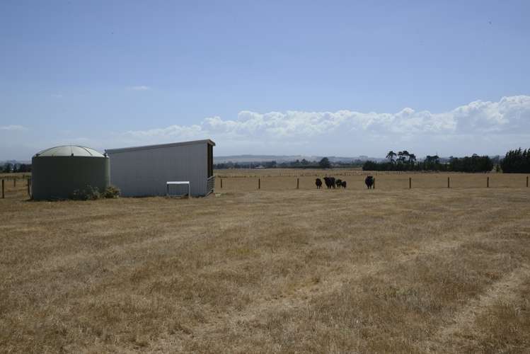 64 Fraters Road Martinborough_5