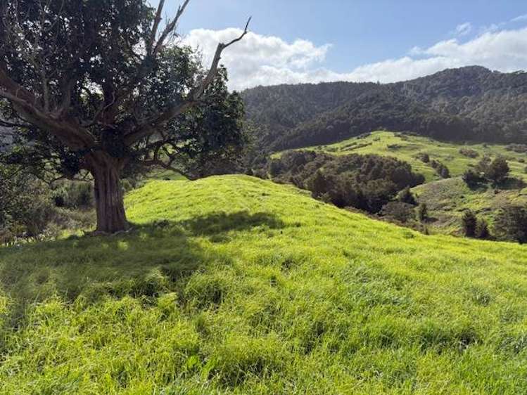 Lot 3/101 Brooklands Way Kaiwaka_10