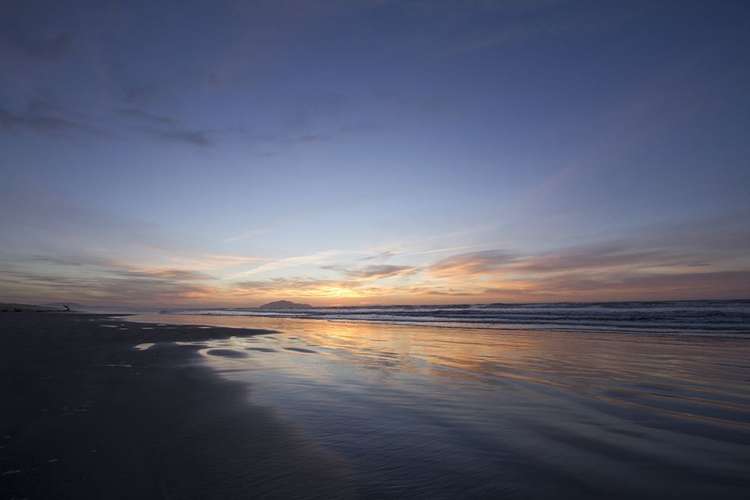 59a Reay Mackay Grove Waikawa Beach_27