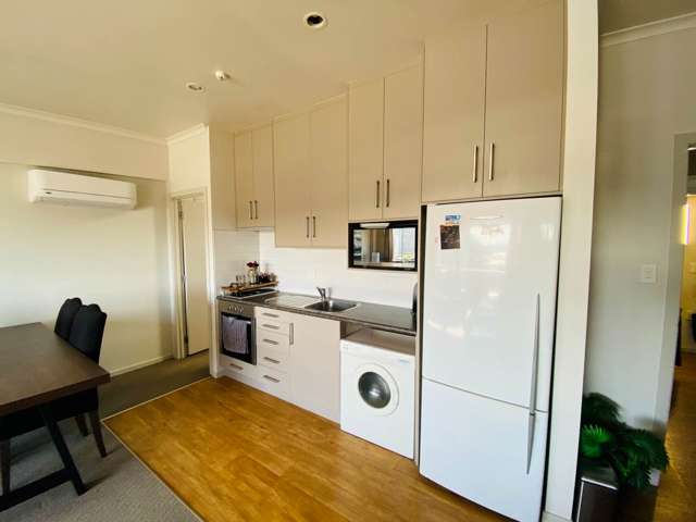 38A Nelson Street Pukekohe_1