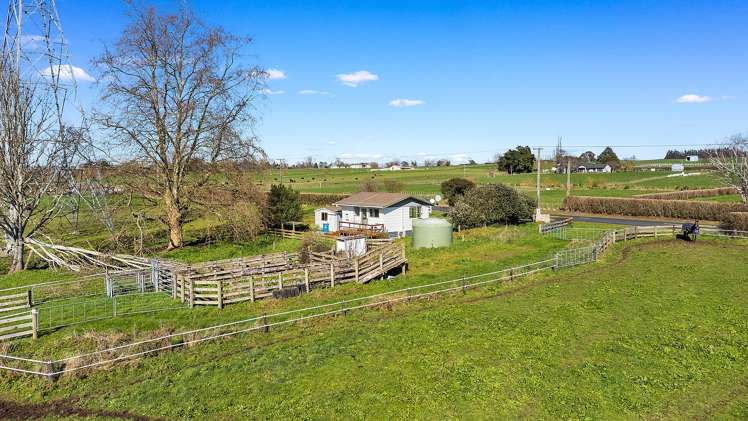 137 Seddon Road_4
