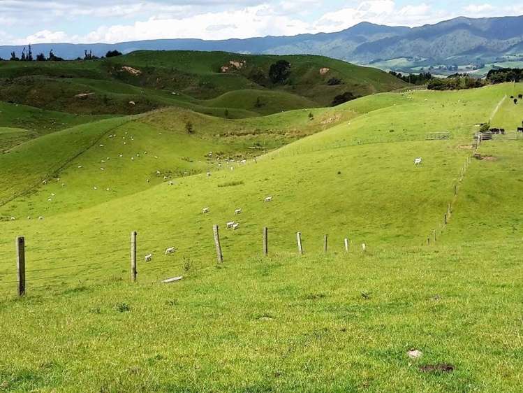 139 Zigzag Road Pohangina_7