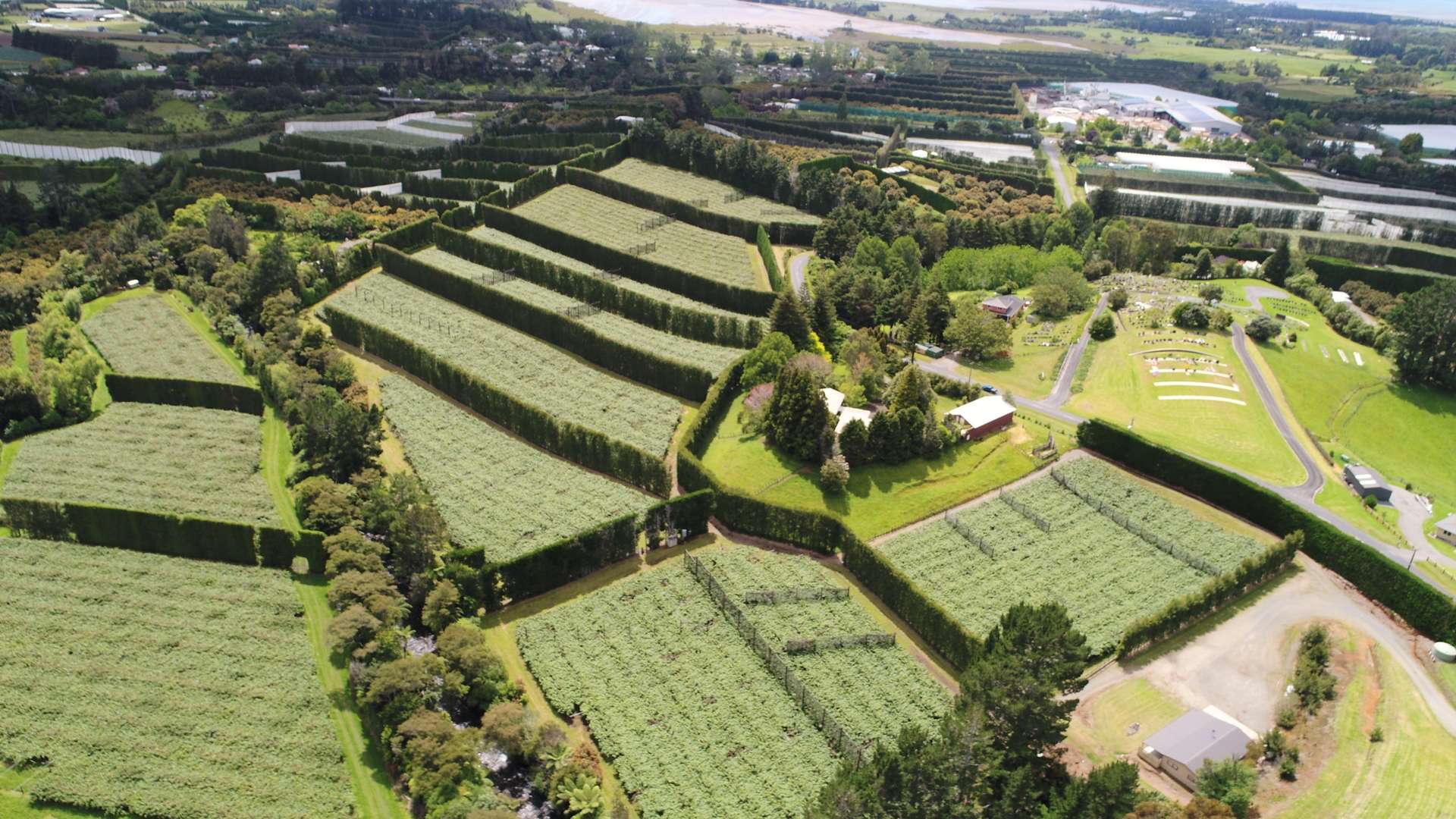 90 Hot Springs Road Katikati_0