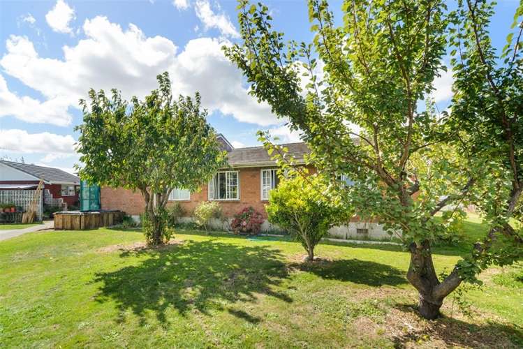 128 High Street Bulls_5